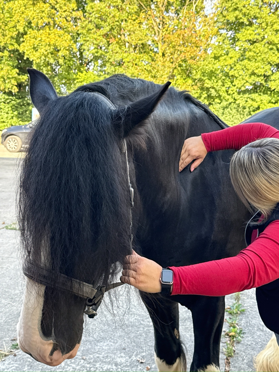 Carina arbeitet am Übergang von Hals und Schulter