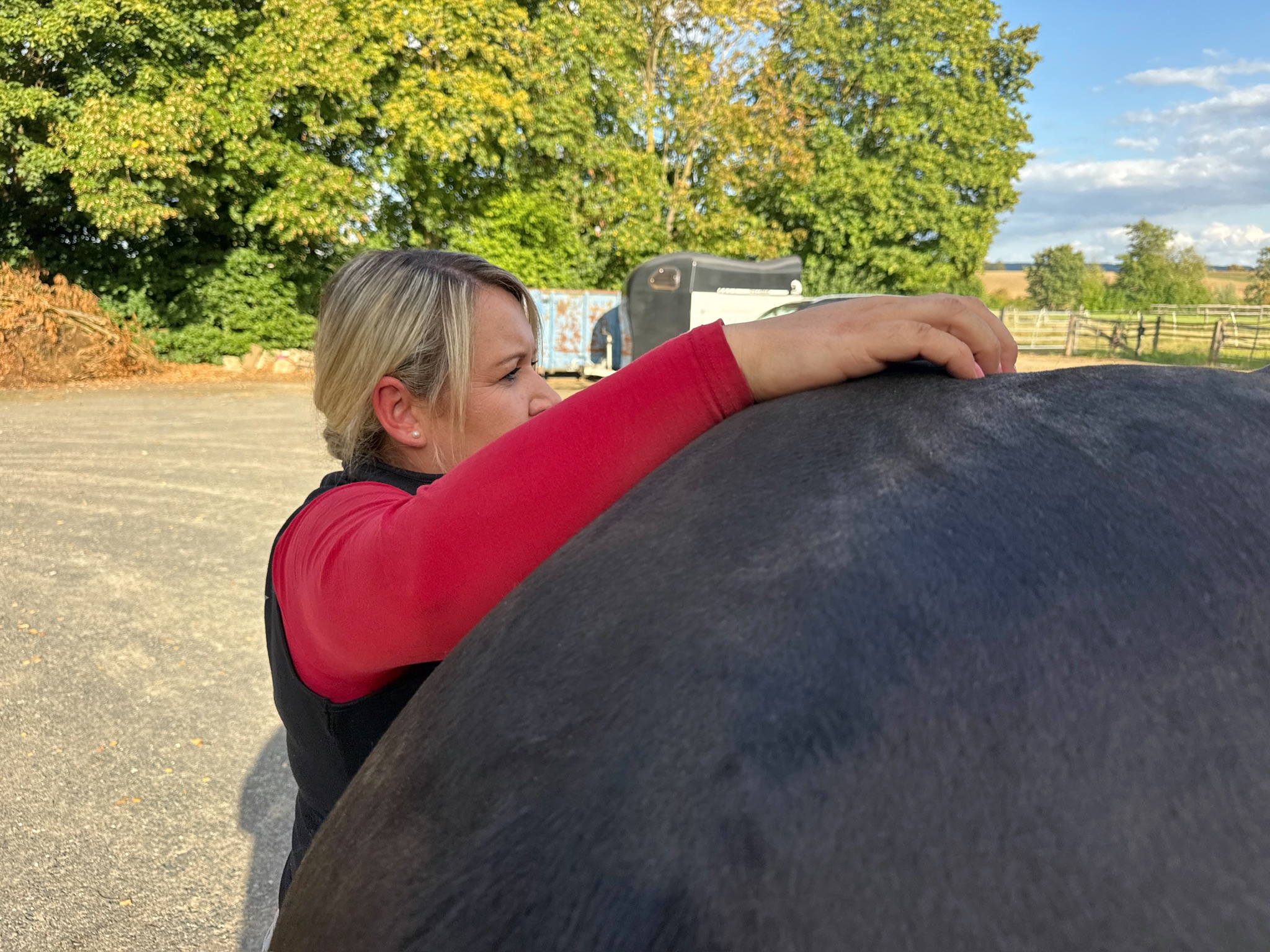 Carina arbeitet an der Hinterhand eines Pferdes