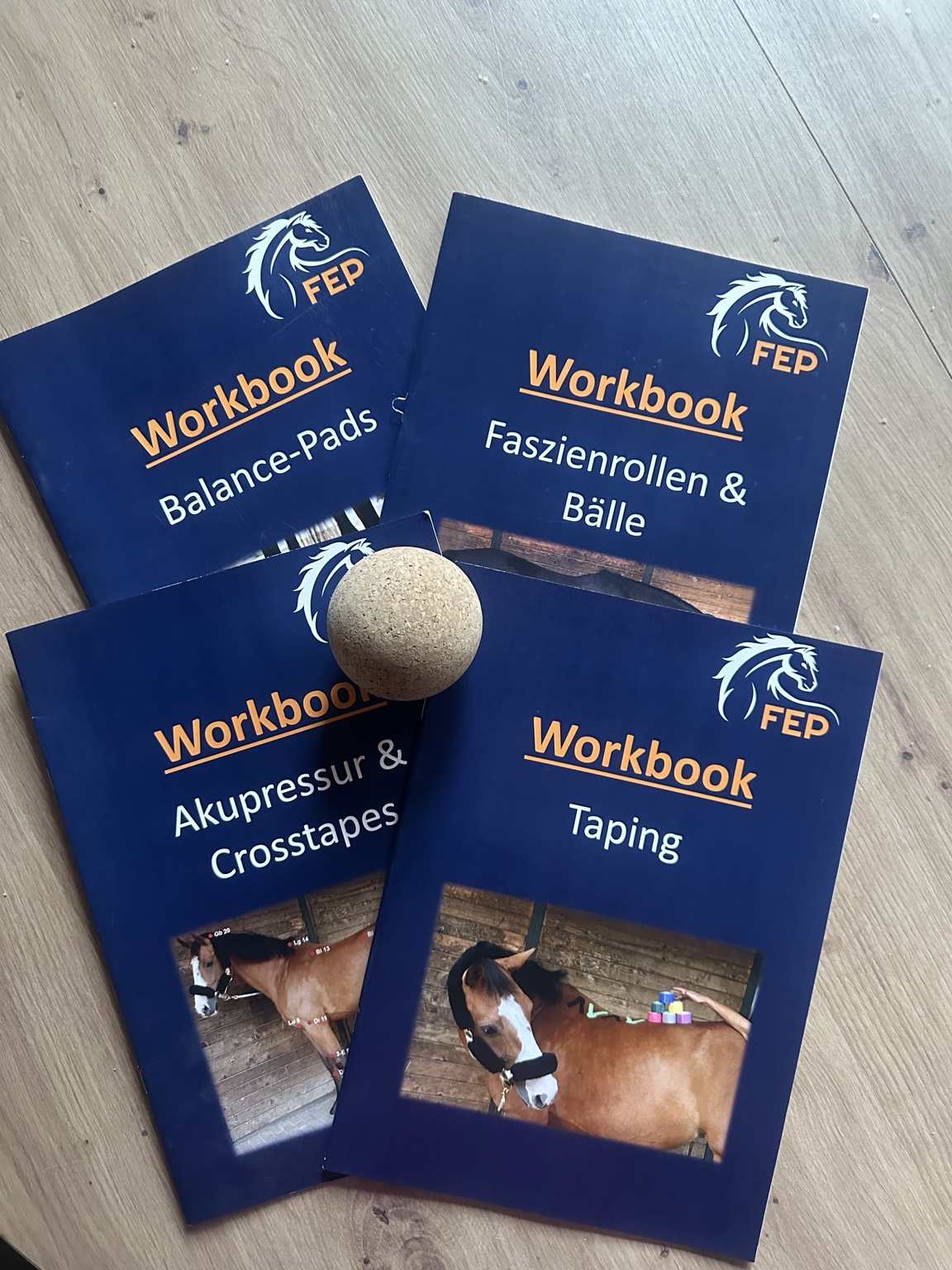 PferdeFEP-Workbooks zu Taping, Balance-Pads und Faszienarbeit