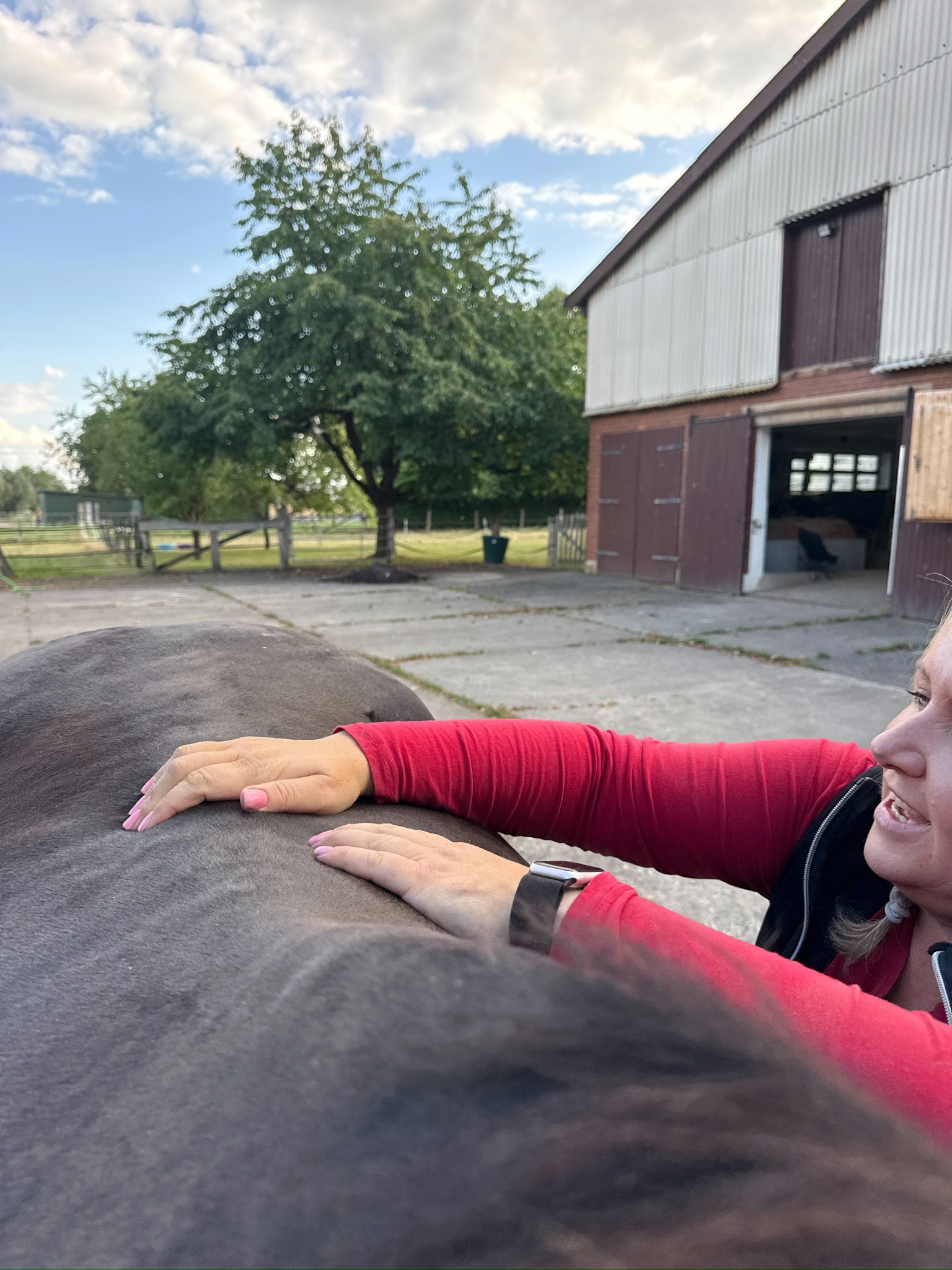 Carina arbeitet am Rücken eines Pferdes